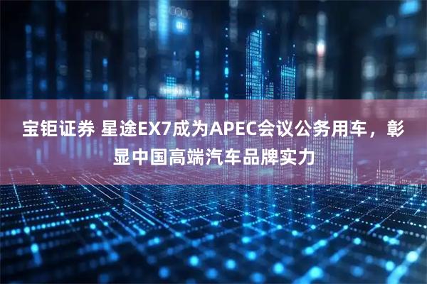 宝钜证券 星途EX7成为APEC会议公务用车，彰显中国高端汽车品牌实力