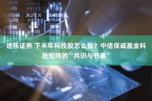 途乐证券 下半年科技股怎么投？中信保诚基金科技矩阵的“共识与节奏”
